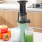 🎉Nieuwjaars Cadeau 50% KORTING!🥤Coldpress Slowjuicer Pure Pro – Hoog Suikeraft & Meer Voedingsstoffen: Stil, Makkelijk Te Reinigen Voor Fruit/Groenten/Nootmelk!