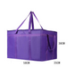 Large Insulated Food Delivery Bag