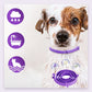 🐱🐶 50% KORTING! Alsof je een onzichtbare insectenmoordenaar om de nek van je huisdier hebt! Deze verstelbare anti-insectenband jaagt vlooien, teken en muggen op de vlucht – zonder gif, zonder geur, en zonder dat je kat of hond er last van heeft.